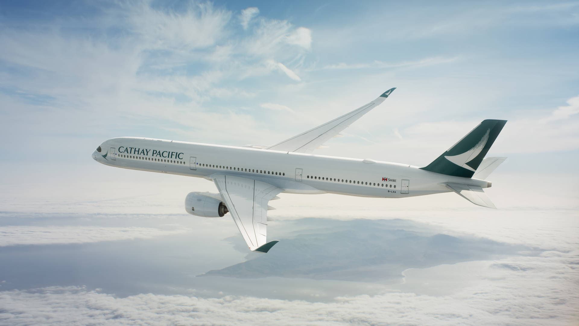 Airplane in the sky